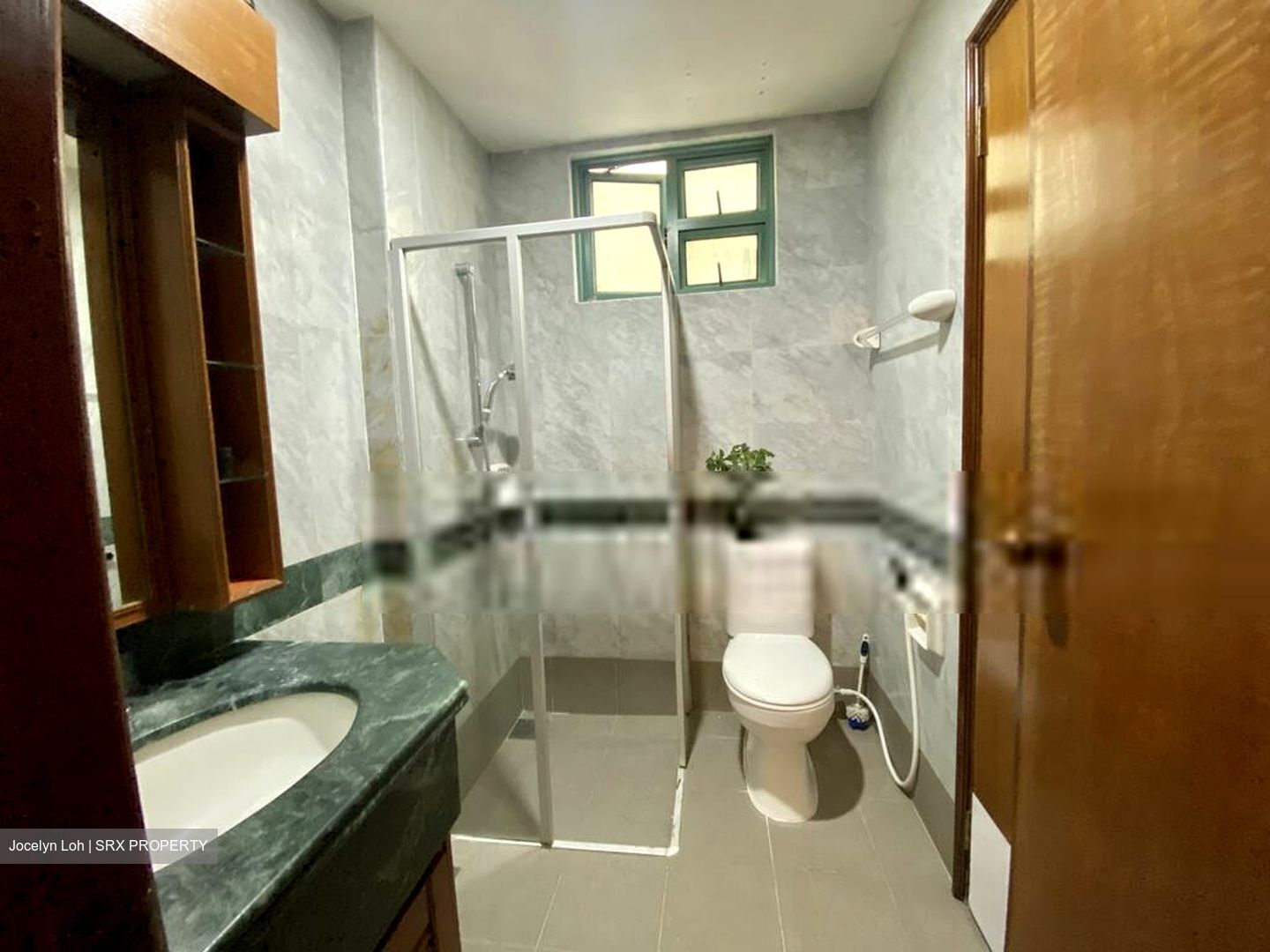 Changi Green (D16), Condominium #412103351